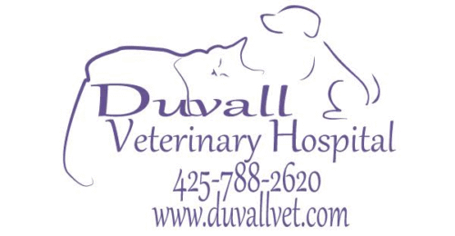 DVH-logo